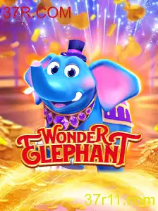 Explorando o Fascinante Mundo de WonderElephant
